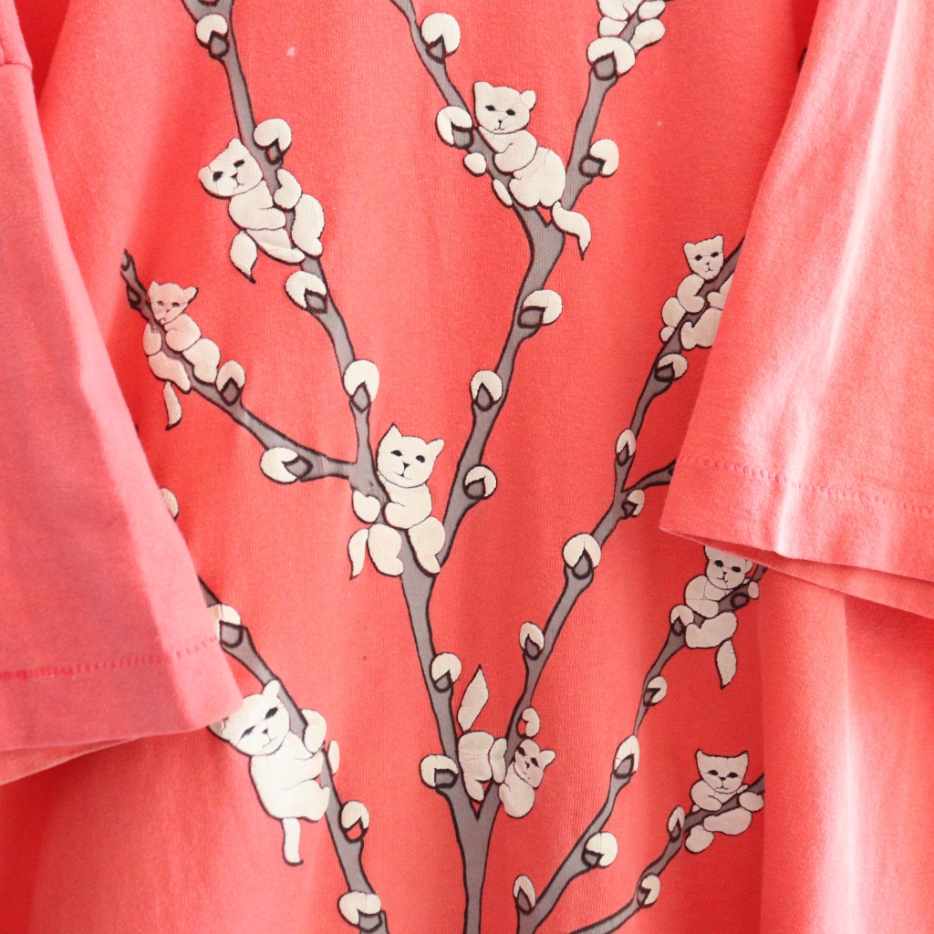IMG_5396